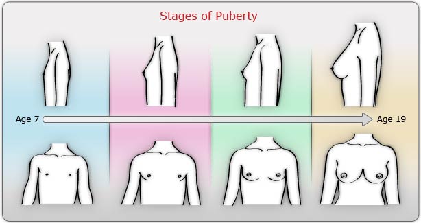 Stages of Puberty in Girls